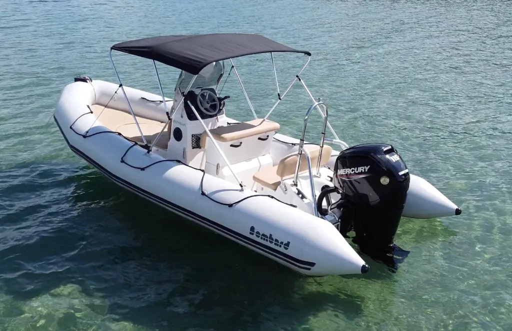 WhatsApp Image 2026-03-01 at 3.webp